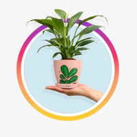 Gardening Products
