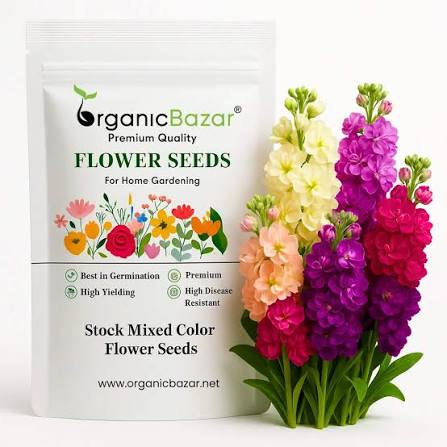 Flower Seeds