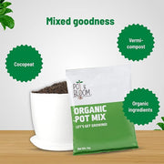8876