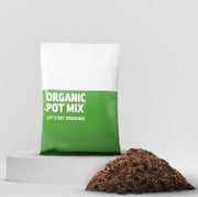 8876