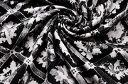 Women’s Black Cotton Cambric Printed Short Kurti